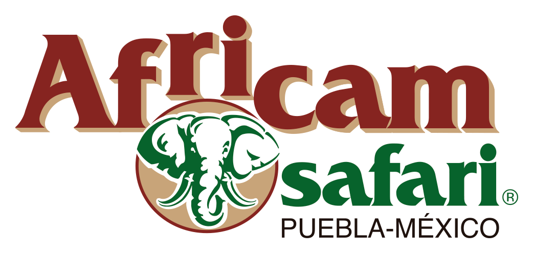 Africam Safari